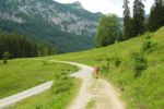 2014-07-05_Laengental-N-Hochweg (294). JPG